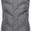 Ragwear Bodywarmers Bodywarmer Natalka Dames Grijs